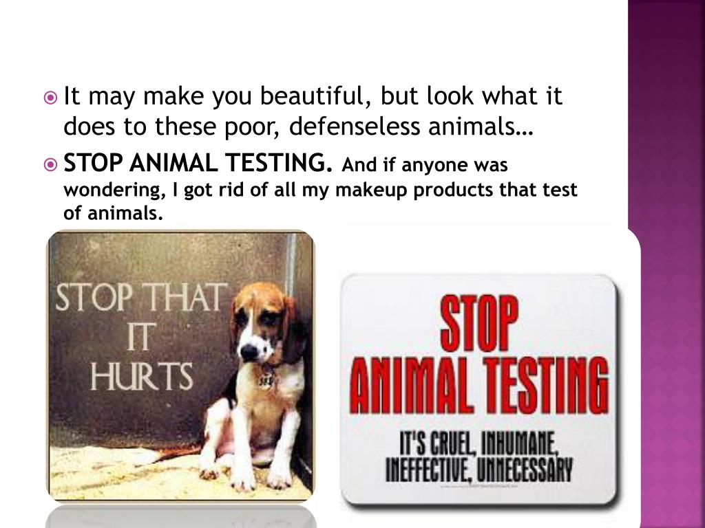 animal experimentation powerpoint presentation