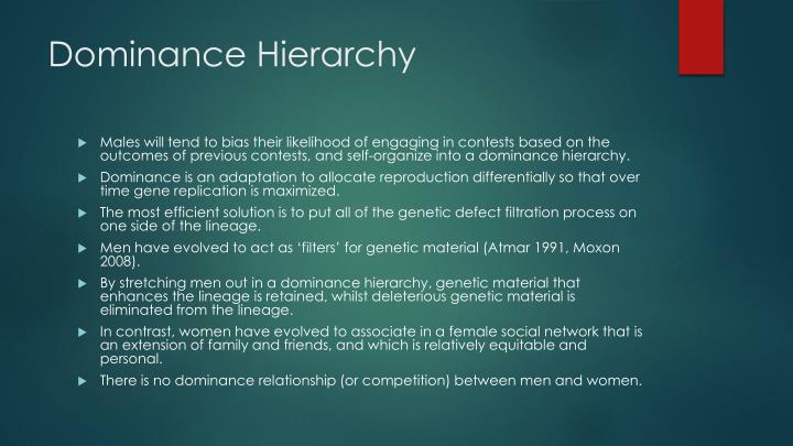 examples of dominance hierarchy in humans