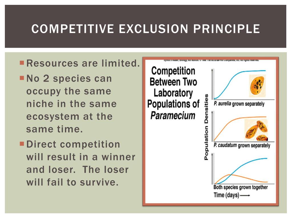 competitive exclusion principle definition biology competitive exclusion principle definition biology