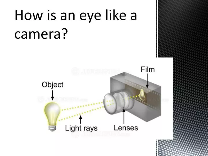 PPT - How is an eye like a camera? PowerPoint Presentation, free ...