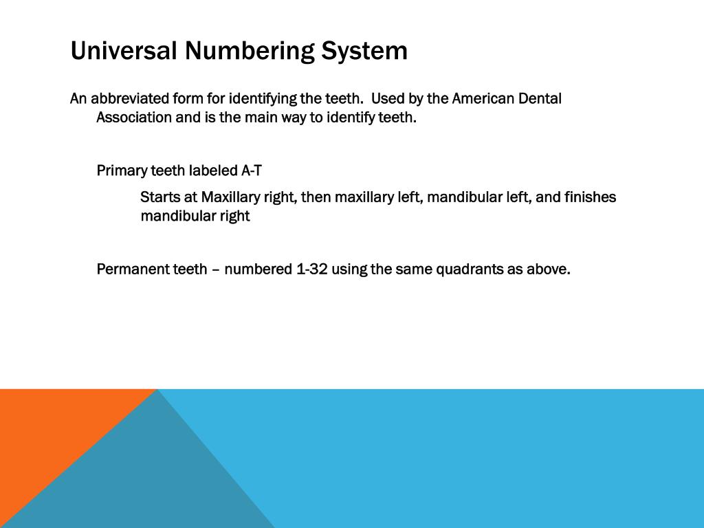 PPT - Dental PowerPoint Presentation, free download - ID:2793647