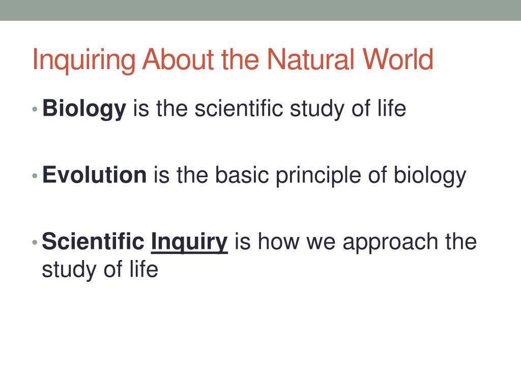 PPT - Introduction: Unifying Themes of Biology PowerPoint Presentation ...
