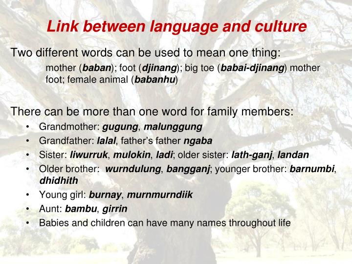 PPT Reviving Aboriginal Languages in Victoria PowerPoint Presentation ID2796068