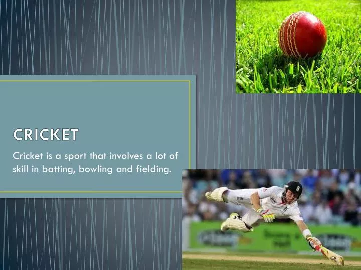 PPT CRICKET PowerPoint Presentation, free download ID