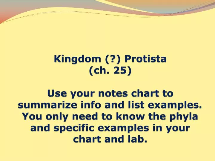 Kingdom Protista Chart