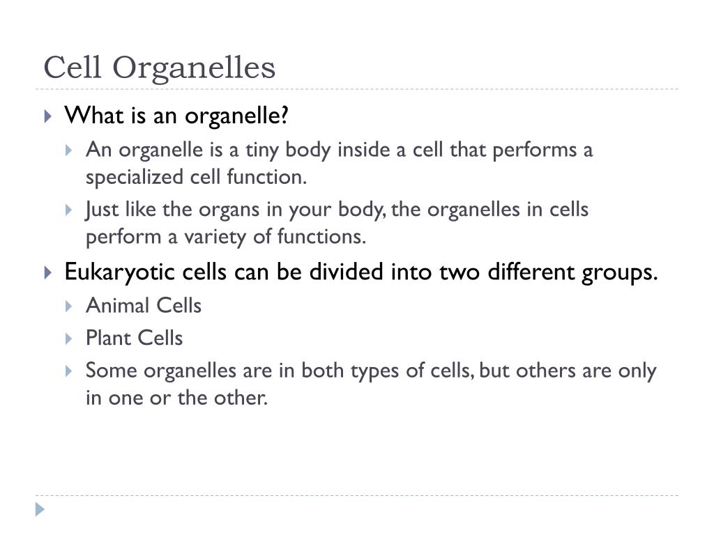 PPT - Cell Organelles PowerPoint Presentation, free download - ID:2801875