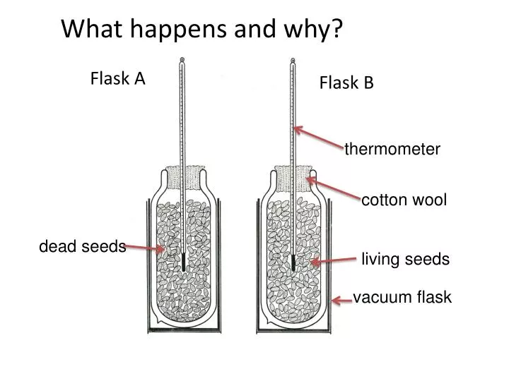parts of a vacuum flask