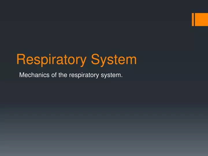 respiratory system mechanics essay Physioex 8 0 exercise 7 respiratory system mechanics physioex 8 0 exercise 7 respiratory system mechanics free essay: respiratory system mechanics. respiratory system mechanics essay Physioex 8 0 exercise 7 respiratory system mechanics physioex 8 0 exercise 7 respiratory system mechanics free essay: respiratory system mechanics.