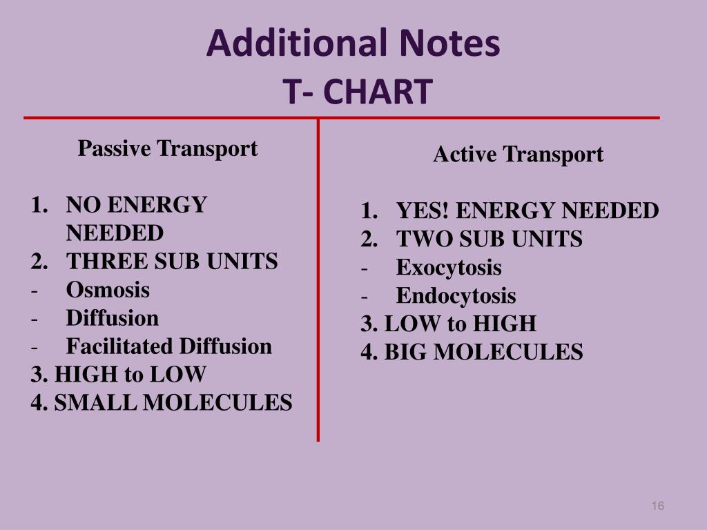 Active Vs Passive Transport Chart