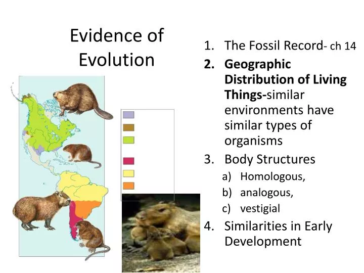 what are the four types of evolutionary evidence