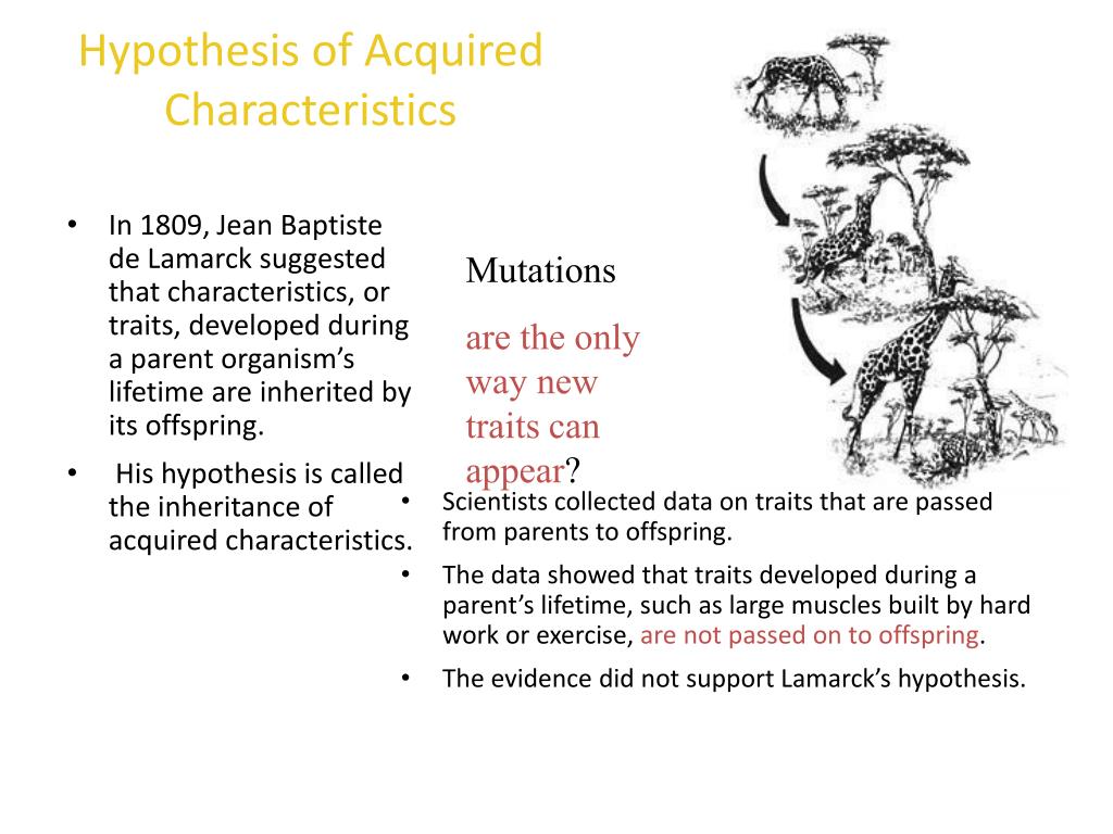 hypothesis of acquired characteristics was proposed by