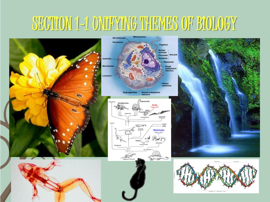 PPT THE SCIENCE OF LIFE PowerPoint Presentation Free Download ID ppt-the-science-of-life-powerpoint-presentation-free-download-id