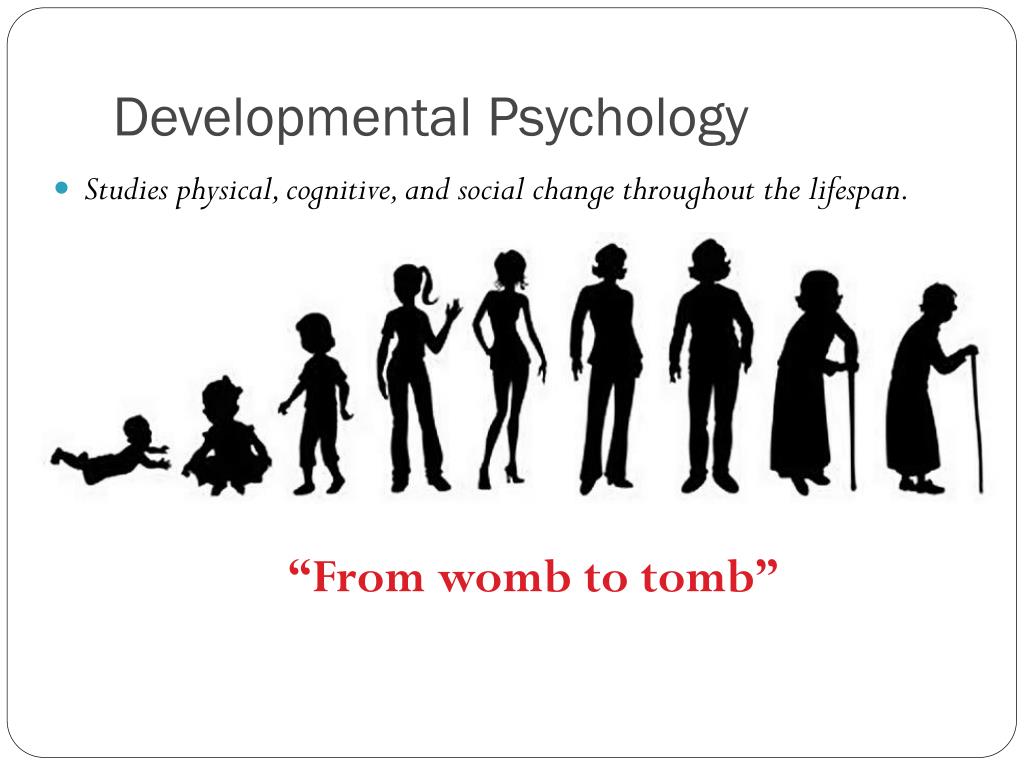 research studies on developmental psychology