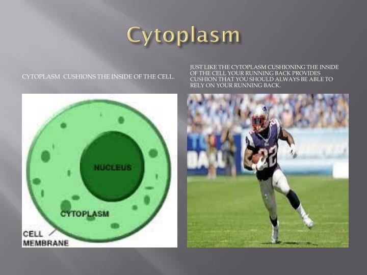 PPT - Cell Organelle: Analogy To A Football Team PowerPoint