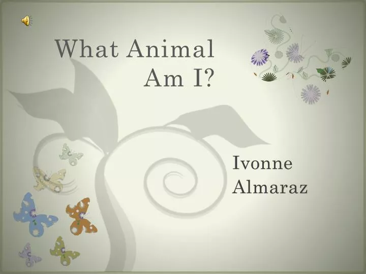 PPT - What Animal Am I? PowerPoint Presentation, free download - ID:2805695