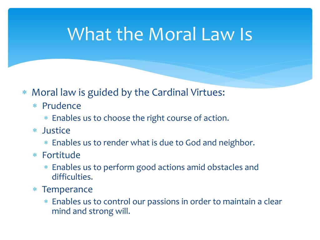 PPT Introduction To Morality PowerPoint Presentation Free Download PPT Introduction To Morality PowerPoint Presentation Free Download