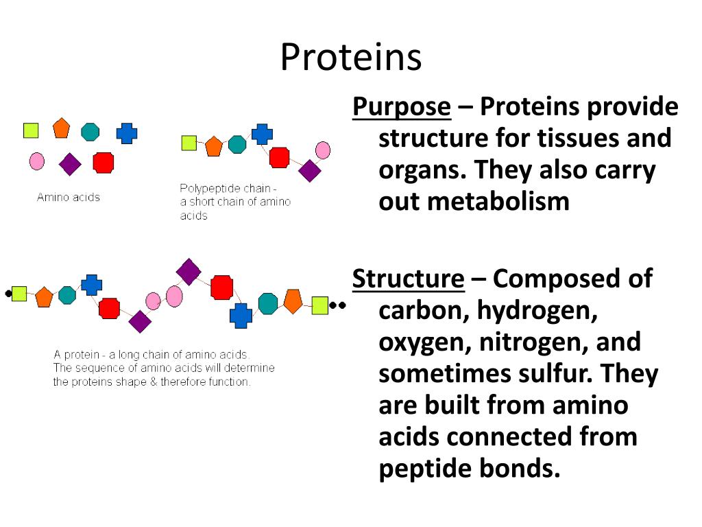 PPT Macromolecules (Carbohydrates, Proteins, Lipids, Nucleic Acids