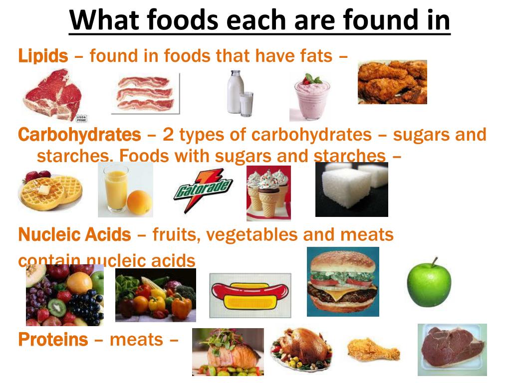 Nucleic Acids Food Examples nucleic-acids-food-examples