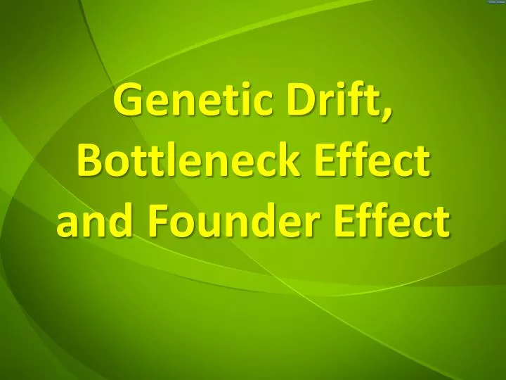 PPT Drift, Bottleneck Effect and Founder Effect PowerPoint Presentation ID2807330