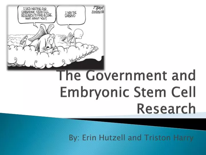 the government and embryonic stem cell research n.