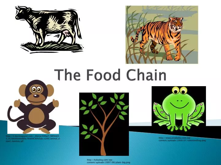 PPT - The Food Chain PowerPoint Presentation, free download - ID:2807513 PPT - The Food Chain PowerPoint Presentation, free download - ID:2807513