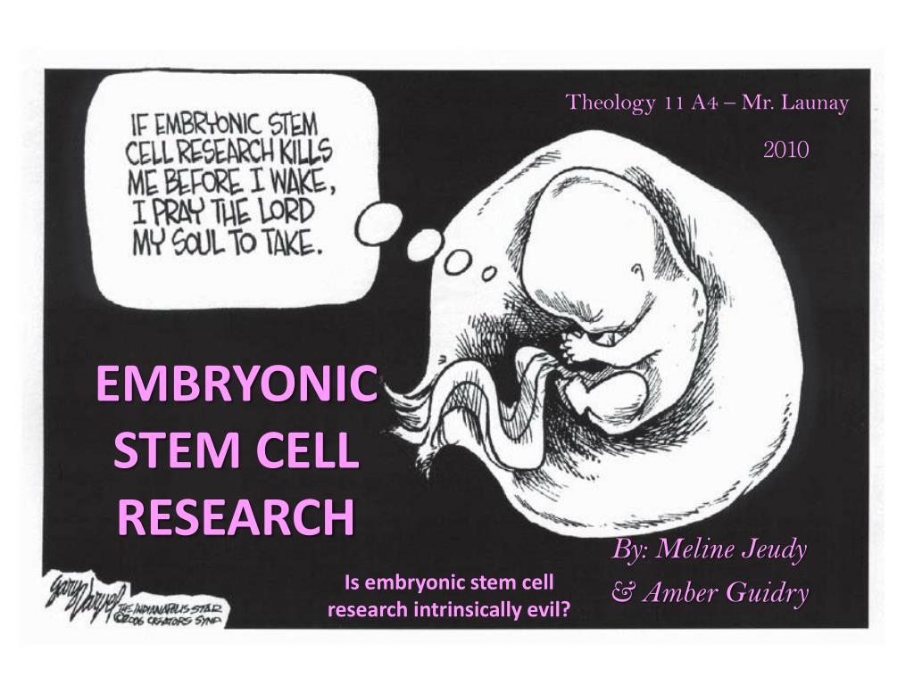 Embryonic Stem Cell Research To Be or