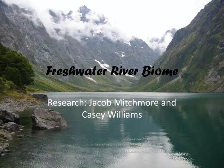 PPT - Freshwater River Biome PowerPoint Presentation, free download