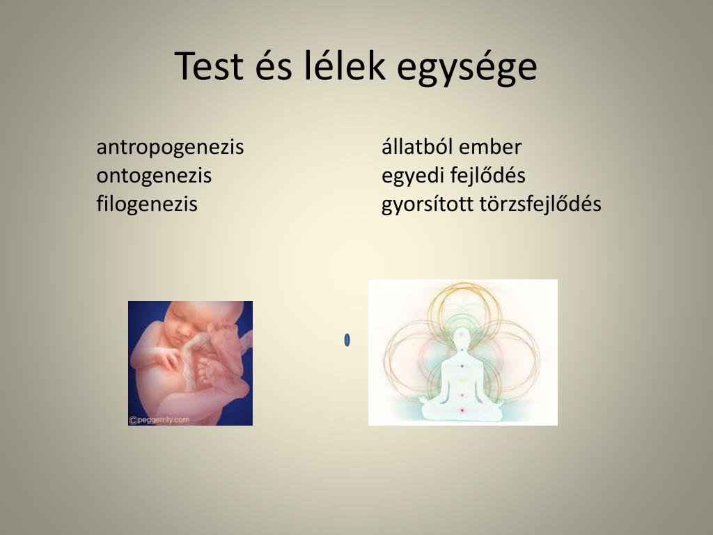 a látás fejlődése az ontogenezisben milyen fokú látás