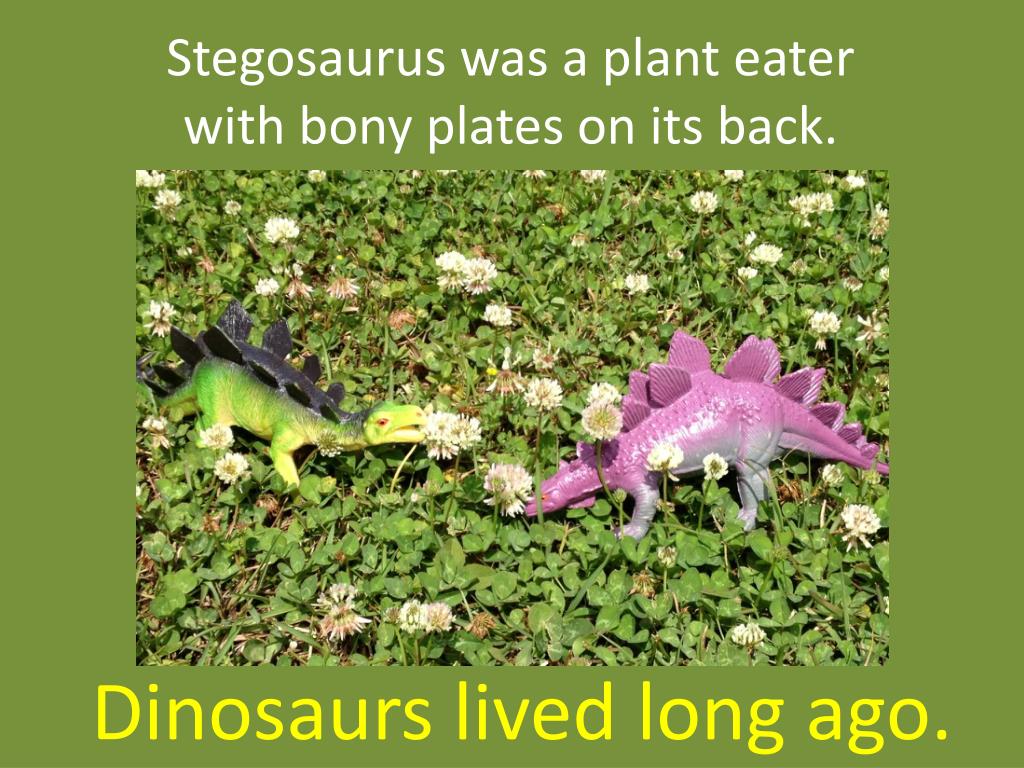 dinosaurs with plates on their back