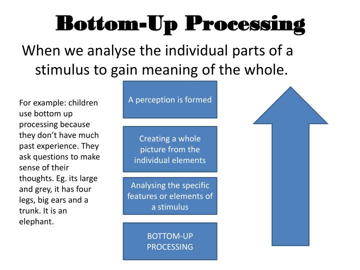 bottom up processing