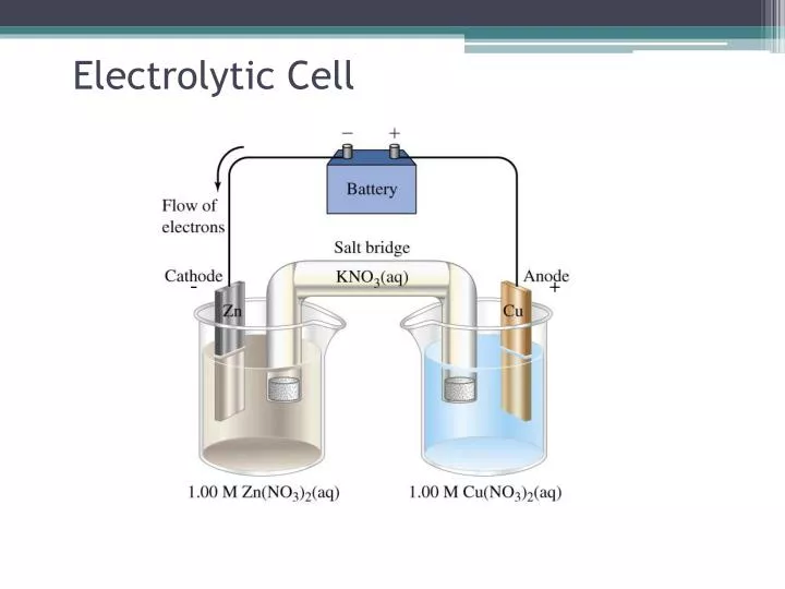 electrolytic cell experiment