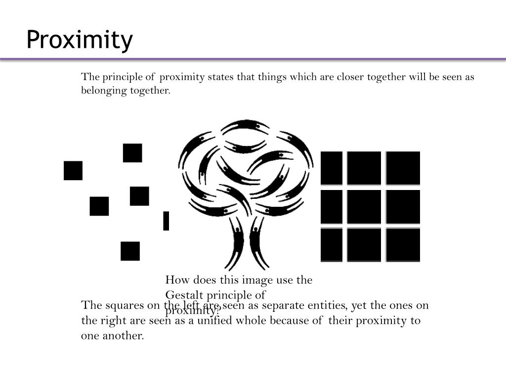 gestalt principle of proximity and similarity