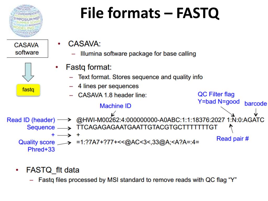 Формат фаста. Fastq format. Fasta fastq Форматы. File format. File Extension and file format.