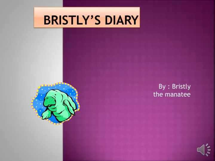 bristly s diary n.