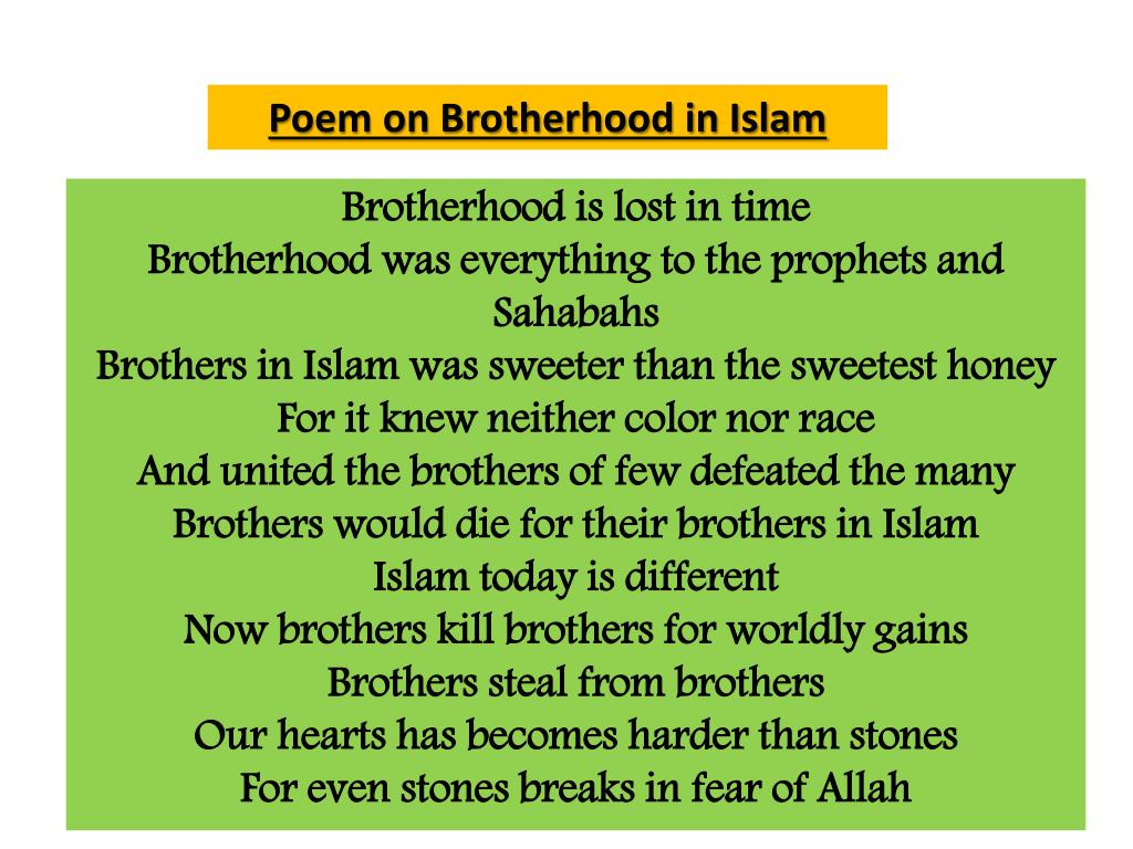 essay on brotherhood in islam