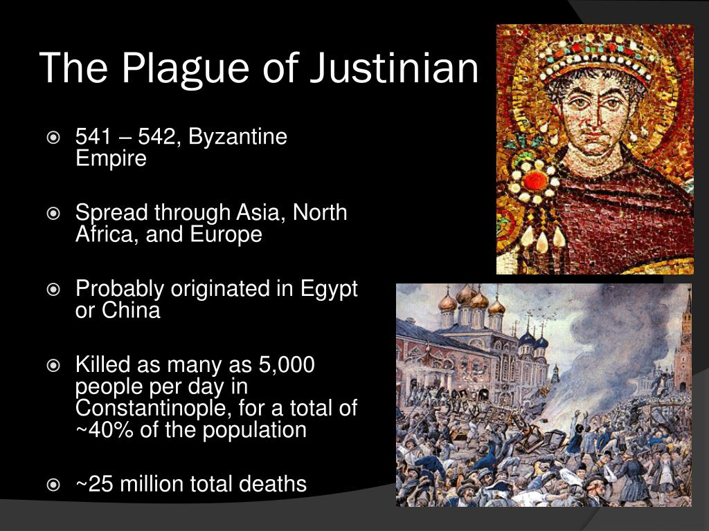 PPT - Bubonic Plague PowerPoint Presentation, free download - ID ...