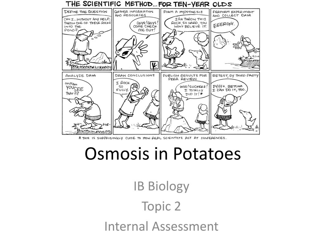 how does temperature affect the rate of osmosis in potatoes