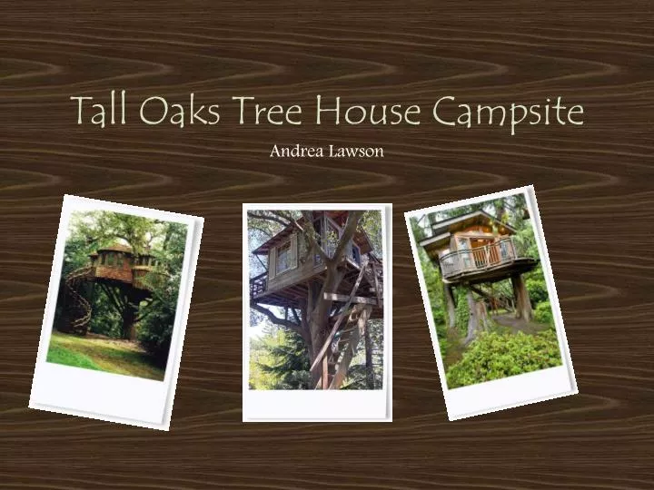 tall oaks tree house campsite n.