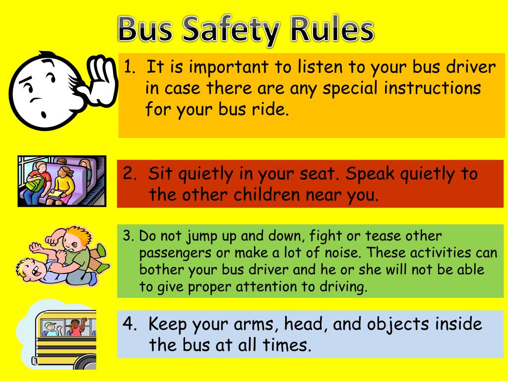bus safety essay