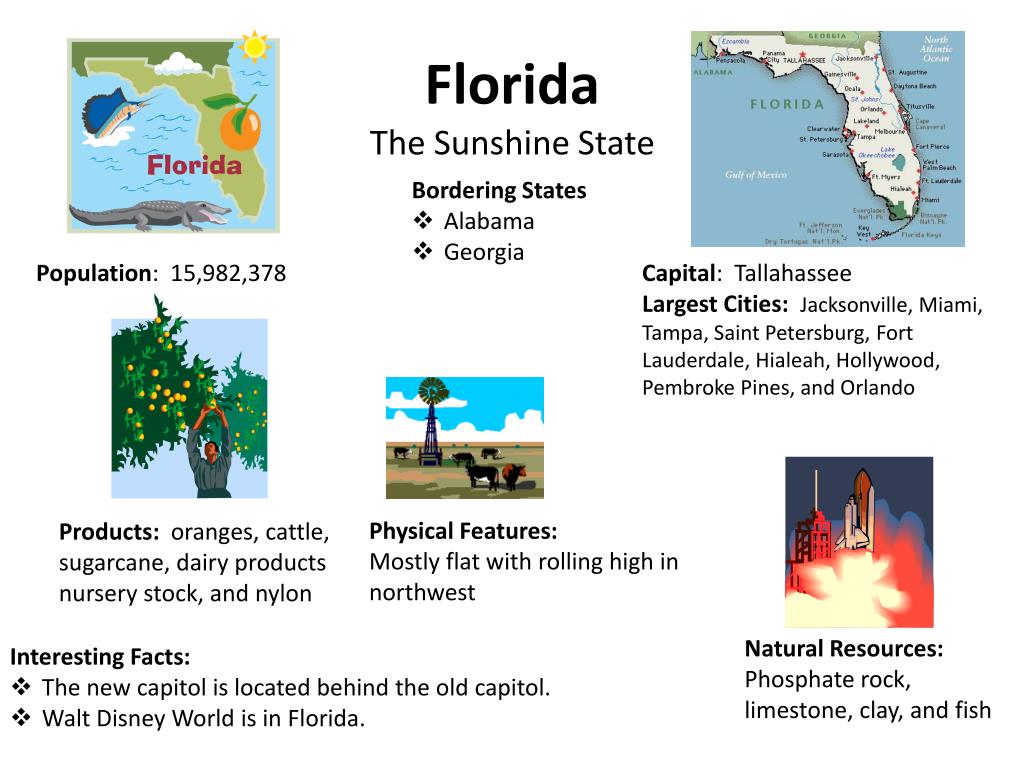 PPT - Florida The Sunshine State PowerPoint Presentation, free download -  ID:2817038