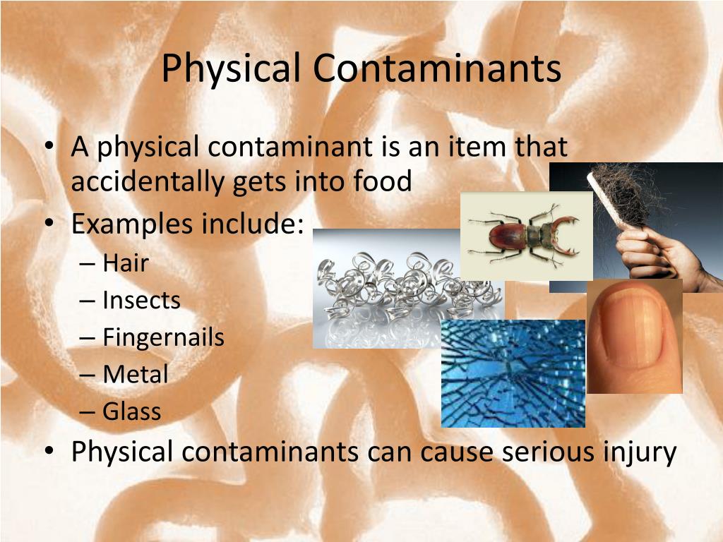 PPT - Chapter 6: Food Safety & Sanitation PowerPoint Presentation, free