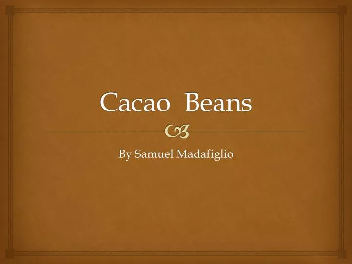 cacao beans n.