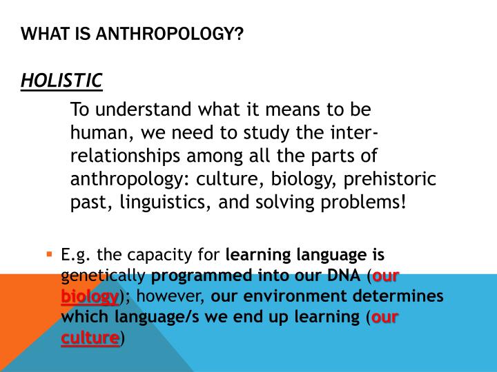 branches of anthropology slideshare