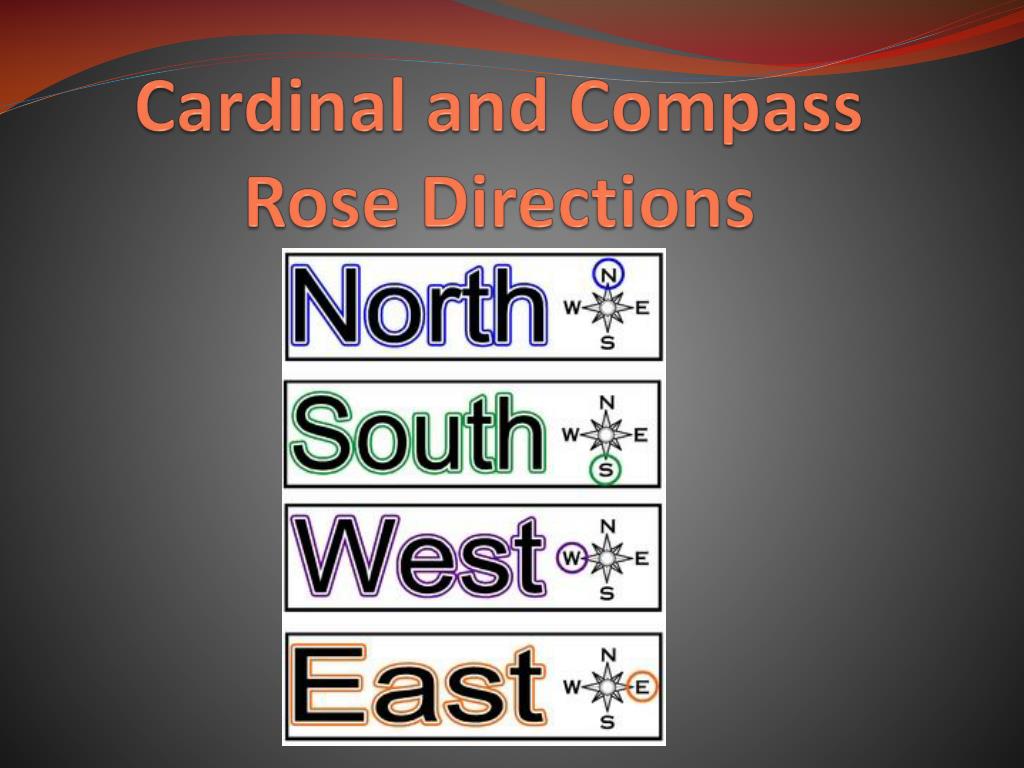 Compass Rose Four Cardinal Directions North East South West White