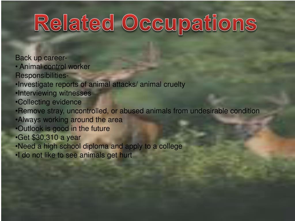 PPT Veterinarian Assistant and Laboratory Animal Caretaker PowerPoint