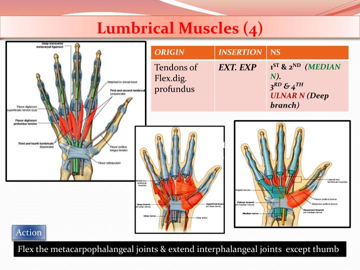 PPT - Dr. Saeed Vohra PowerPoint Presentation - ID:2822226