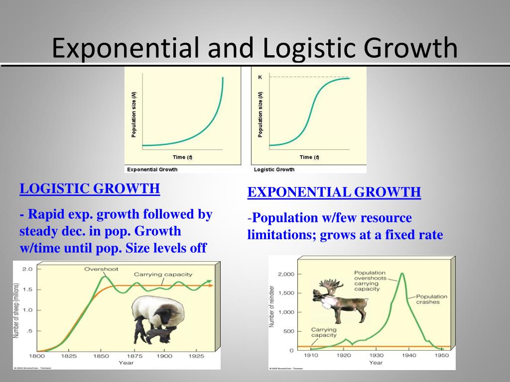 ppt-population-ecology-powerpoint-presentation-free-download-id