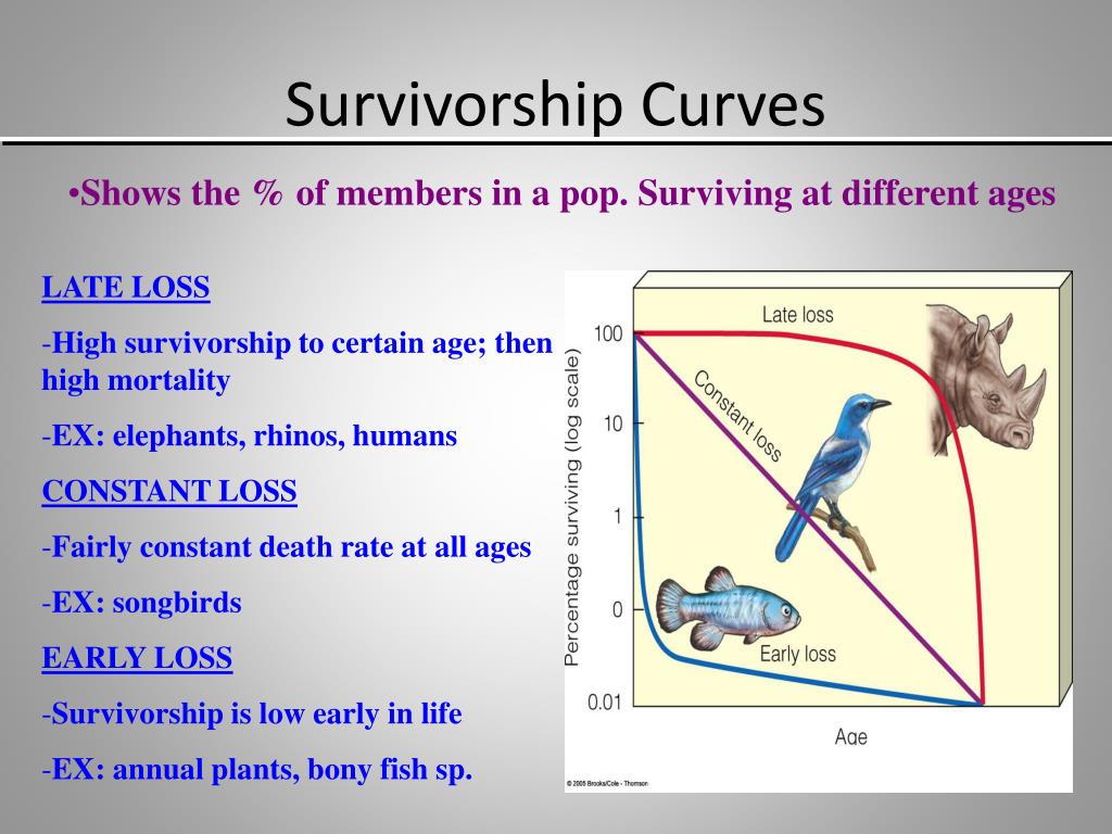 PPT - Population Ecology PowerPoint Presentation - ID:2822508