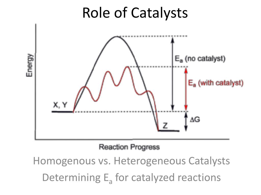 PPT Role of Catalysts PowerPoint Presentation, free download ID2823169