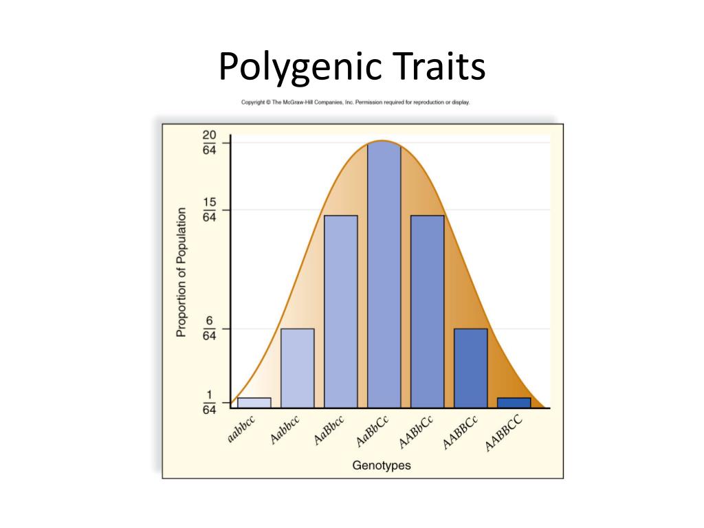 ppt-honors-biology-chapter-7-powerpoint-presentation-free-download